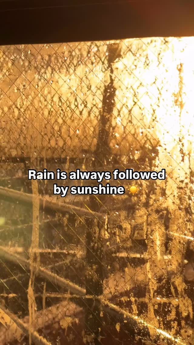 But at San Francisco Pacific Academy, the weather is always nice because we have so many little suns of our own! 🧡

#sanfranciscopacificacademy #bayareakids #sanfrancisco #kindergarten #middleschool #...